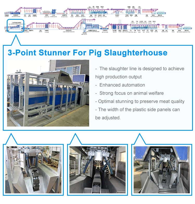 Large Slaughterhouse Pork Abattoir Processing Equipment Three Points ...