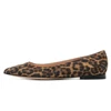 Leopardo