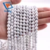 010 Howlite