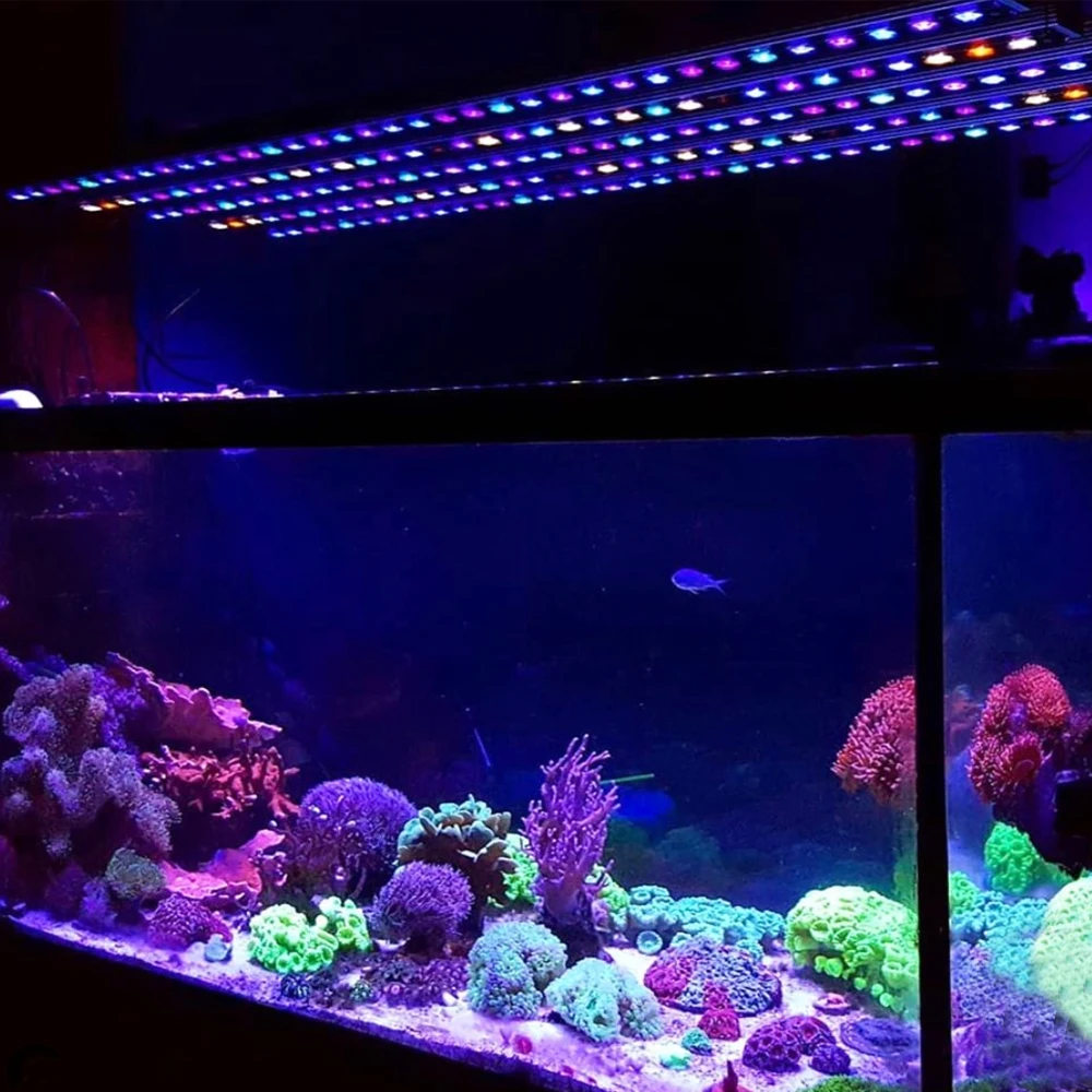 大型プラスチック水槽 ライトブルー H2a4fcc8f2925487993d5e9a0b2f0c
