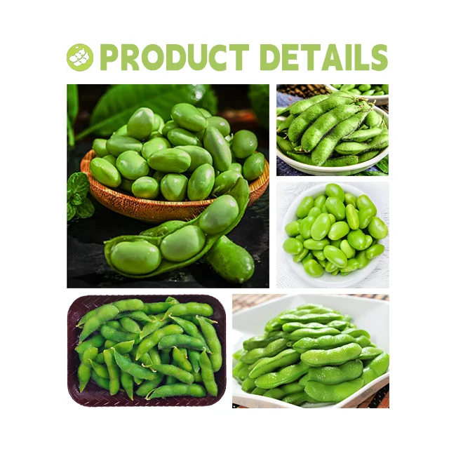 Iqf Frozen Vegetable Green Soybean Ballshaped Peeled Edamame Seed Part