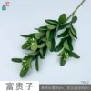 Fuguizi YWLZ Grass Green