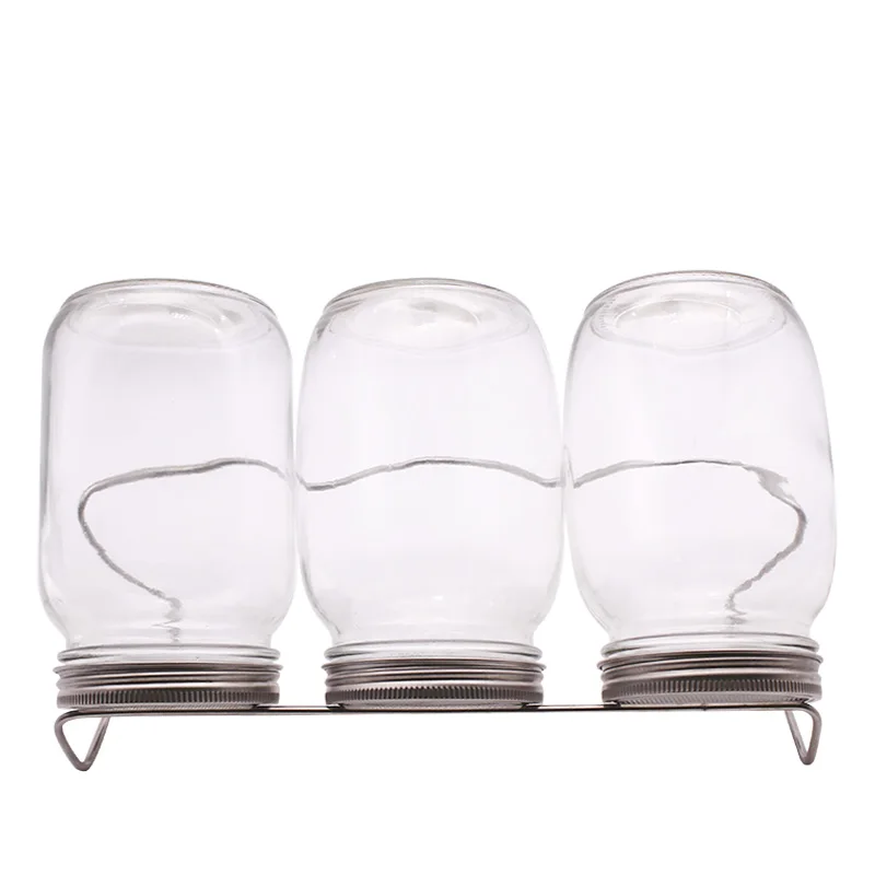 Seed Sprouting Jar Kit 3 Mason Jars Sprout Jar Kit With Screen Lids