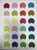 Couleur personnalisée