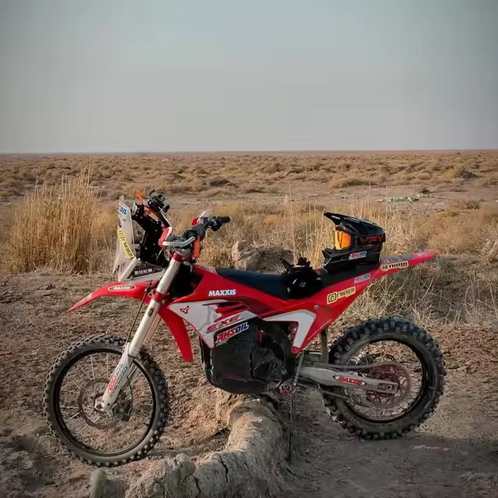 Arctic Leopard E-XE880 Electric Dirt Bike - High Speed Racing