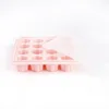 Pink 16 Grids