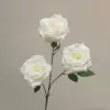 Blanco Cremoso