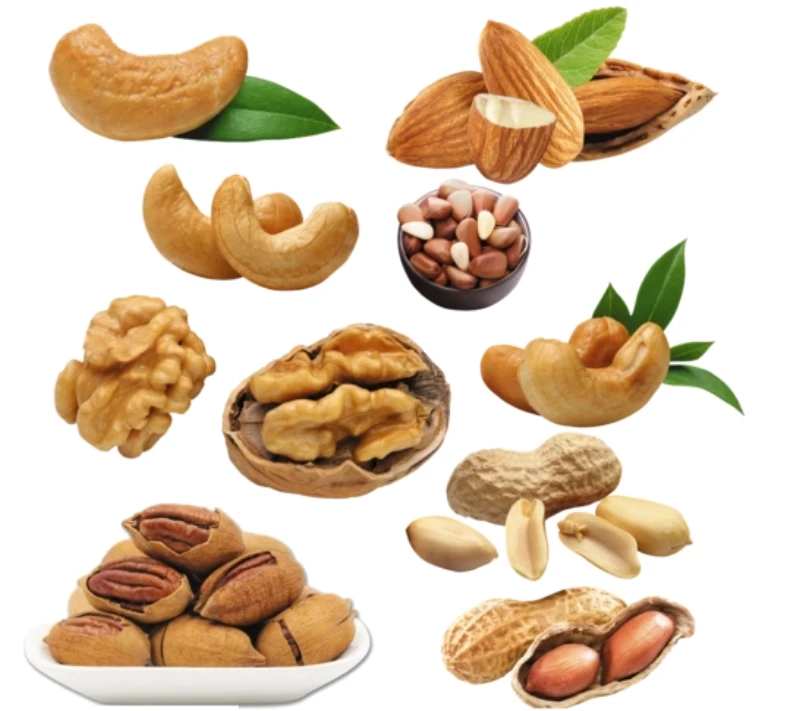 Bulk Hazelnuts Factory Direct Hazelnuts Inshell & Kernels Buy
