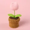 Tulipán Rosa + Mini Bol de Lana Pequeño