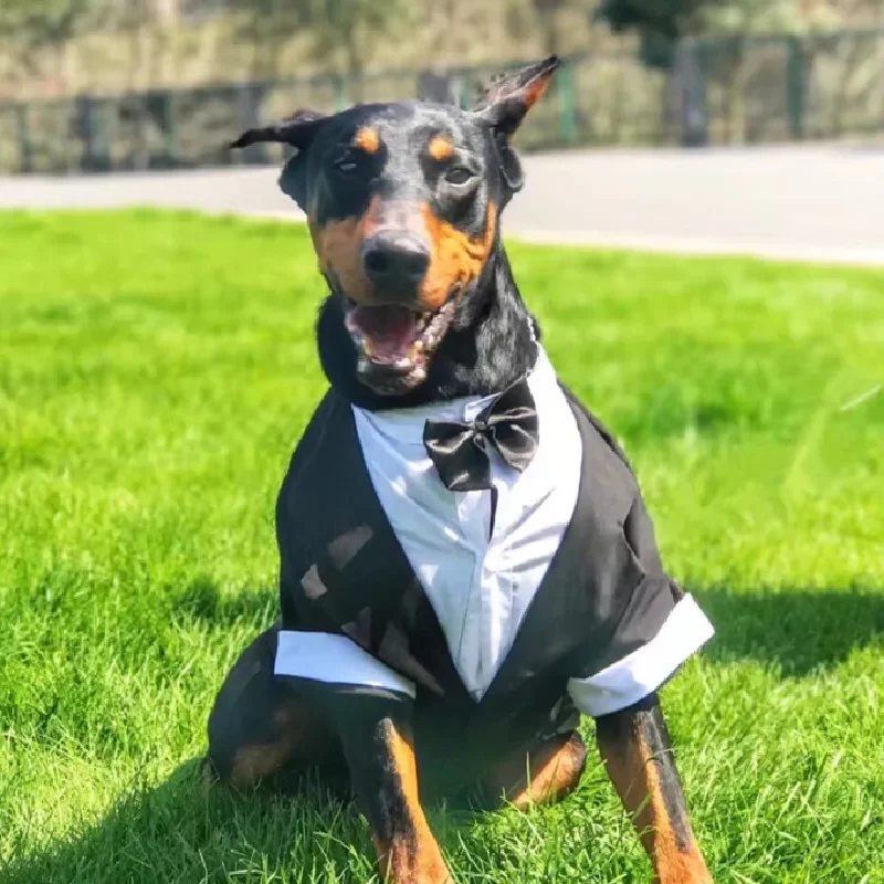 good formal dress stores Parisian Pet Party Dog Tux main image 0