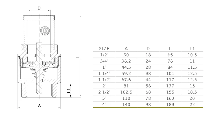 D R Custom Full Size Brass Non Return Valve Dn Inch One Way Vertical Spring Foot