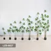 LZS-0027    แอลแซดเอส-0027