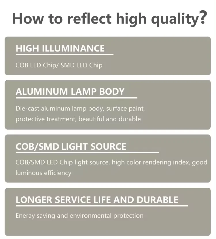 Led Light Downlight