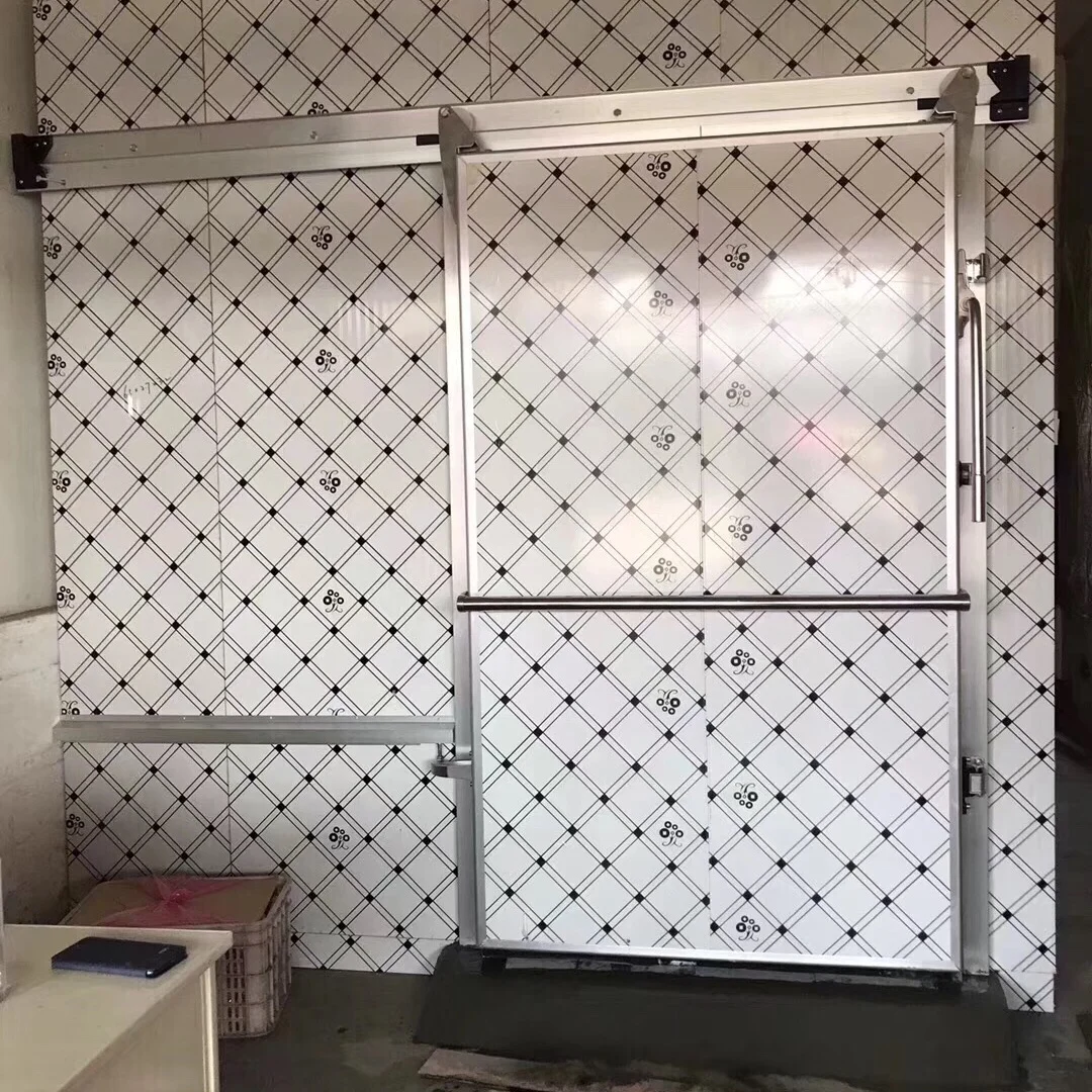 Cold Room Cold Storage Manual Sliding Door with PU Insulation