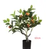 green 60cm