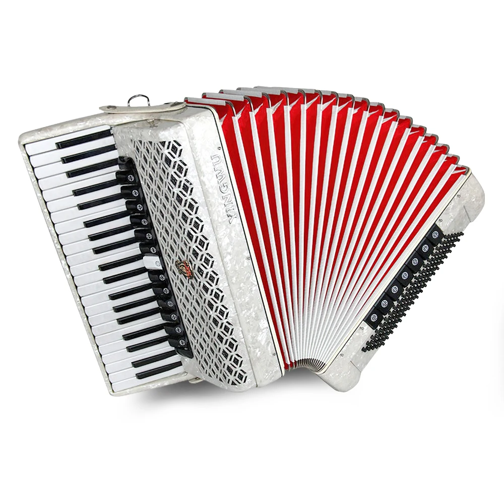 Source China parrot 41 keys 120 bass 20 Register diatonic keyboard accordion  piano musical instrument for professional perform on 