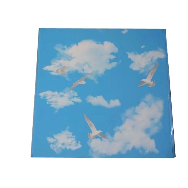 New Pattern PVC Ceiling Panel for Ceiling Decoration