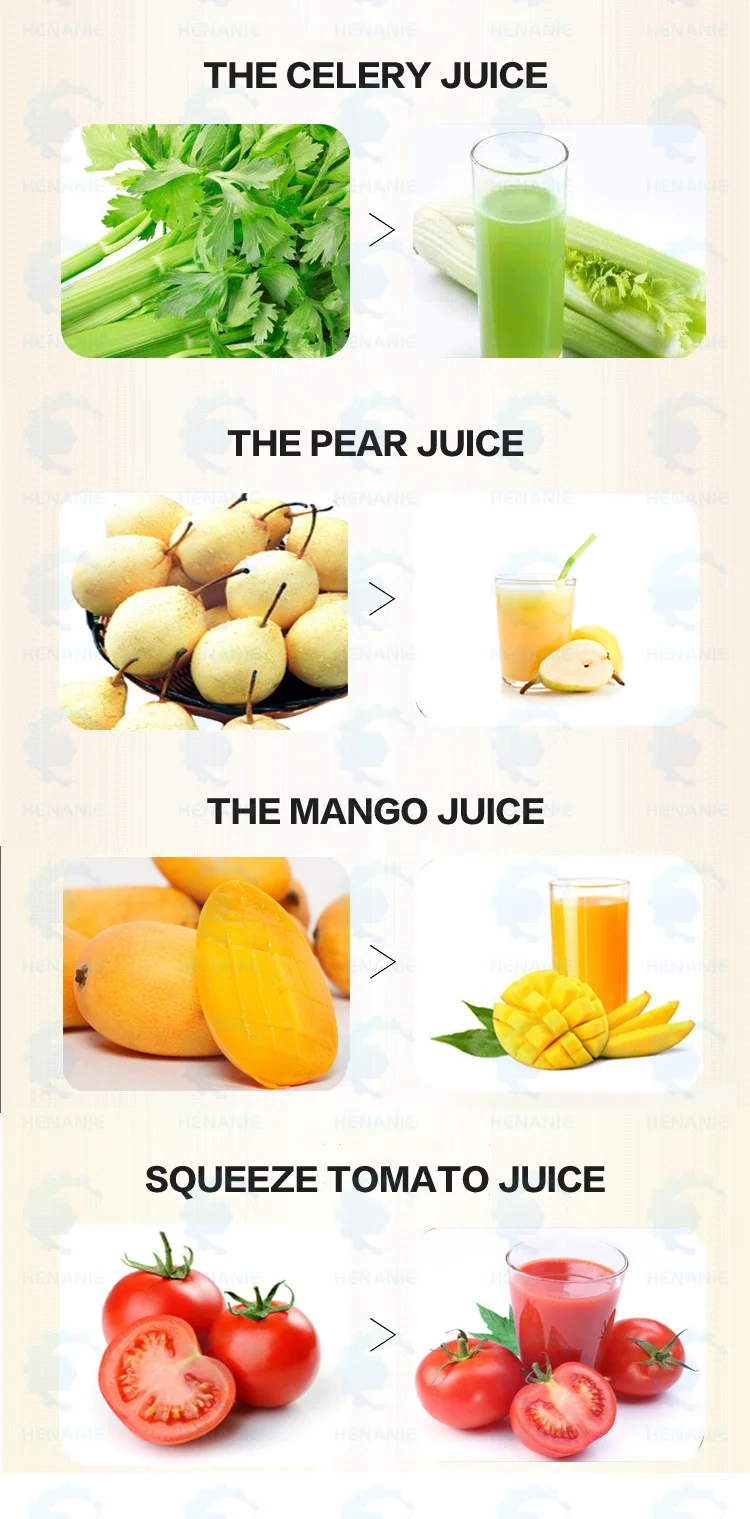 Fresh Mango Juice Extraction Machine Automatic Cold Press Juice Machine