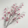 28 frutos de acacia