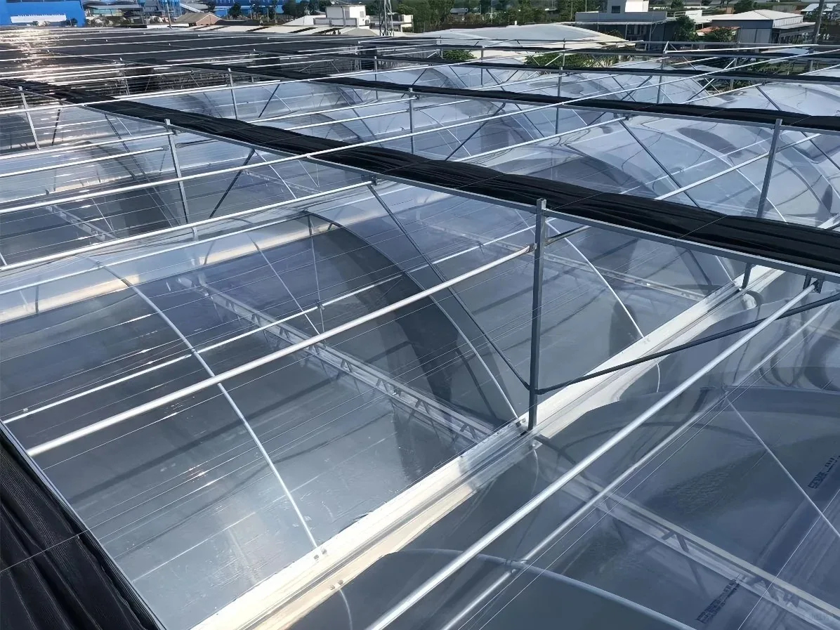 H2a81a03d79954bd3813236d1f023f9a4K