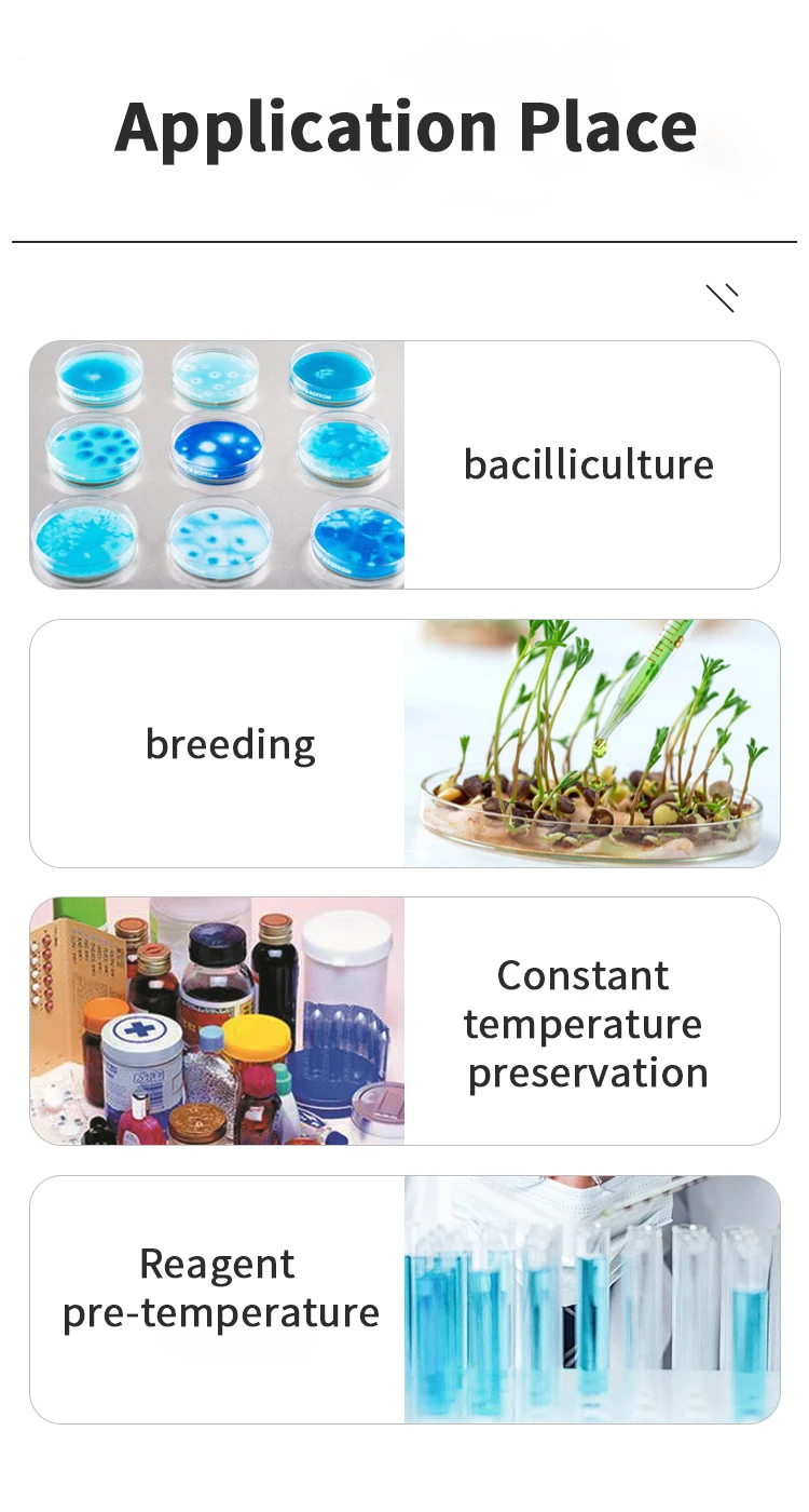 Laboratory Microbial Incubator Small Thermostatic Bacterial Incubator