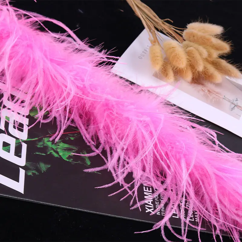 Factory Price Feather Ostrich Feather 1520cm/2m1 Piece Color Wedding