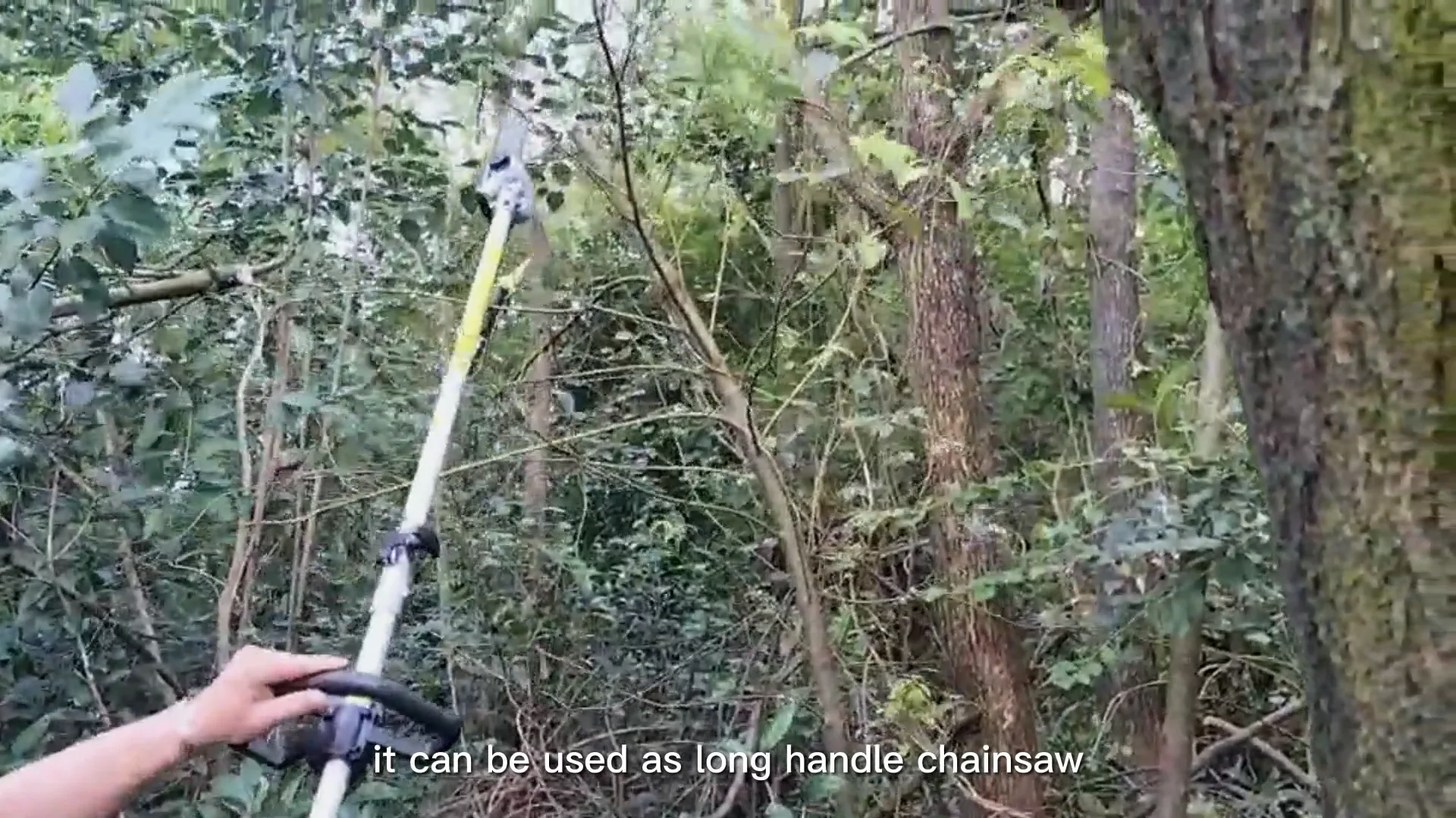 62 Cc Multitool High Tree Cutting Long Reach Gasoline Telescopic