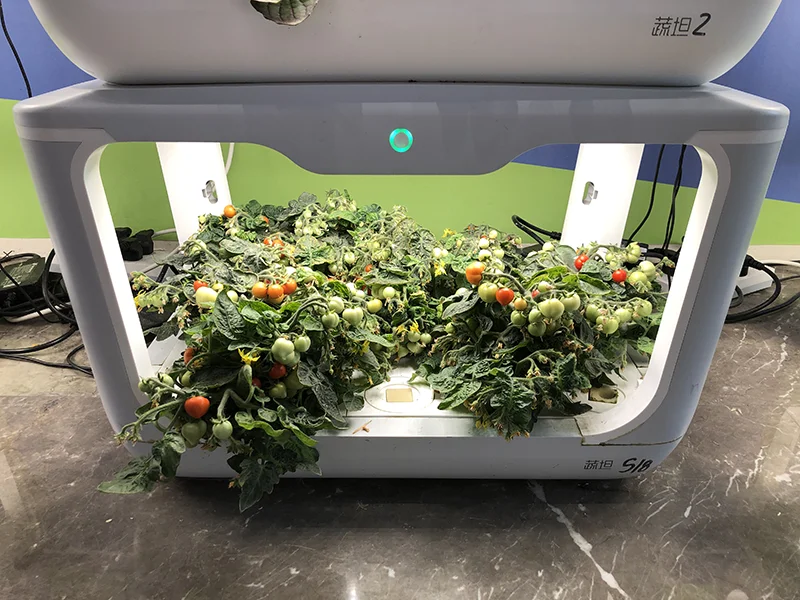 Mini greenhouse-20.png