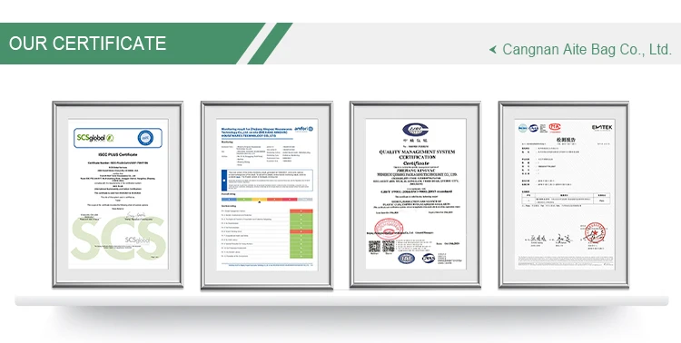 Wholesale Eco-Friendly Large Capacity Cotton Tote Bag Custom Logo Printing on Plain Canvas for Women Personalized Shopping Bag factory