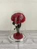 rosso scuro (12*20)