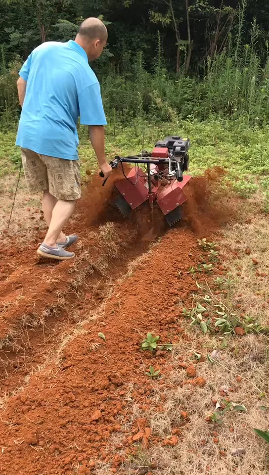 Easy Operation Professional Mini Power Tiller Power Weeder Rotavator Cultivator for Sale