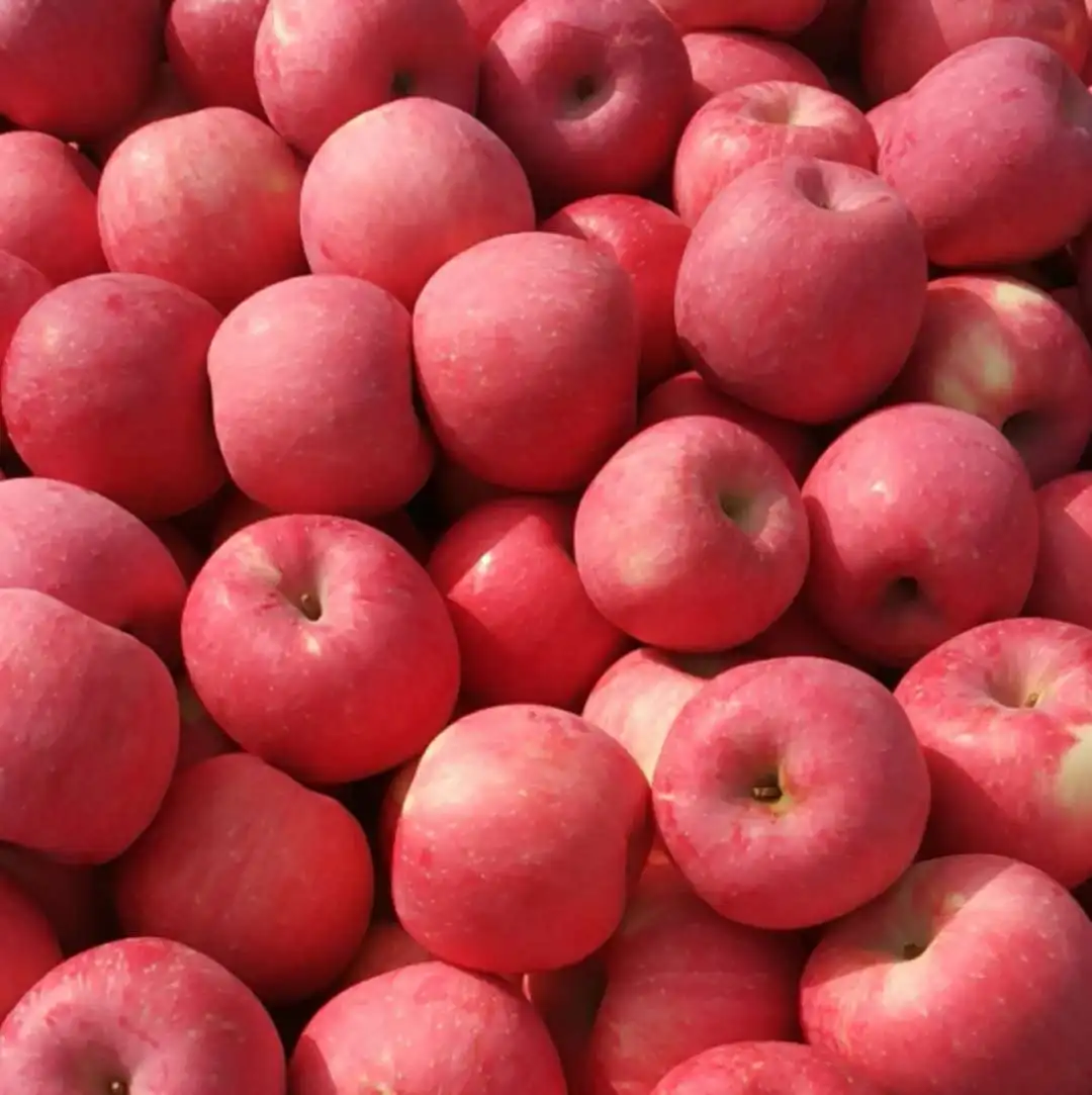 seasonal fresh juicy crisp and sweet highland red fuji apple