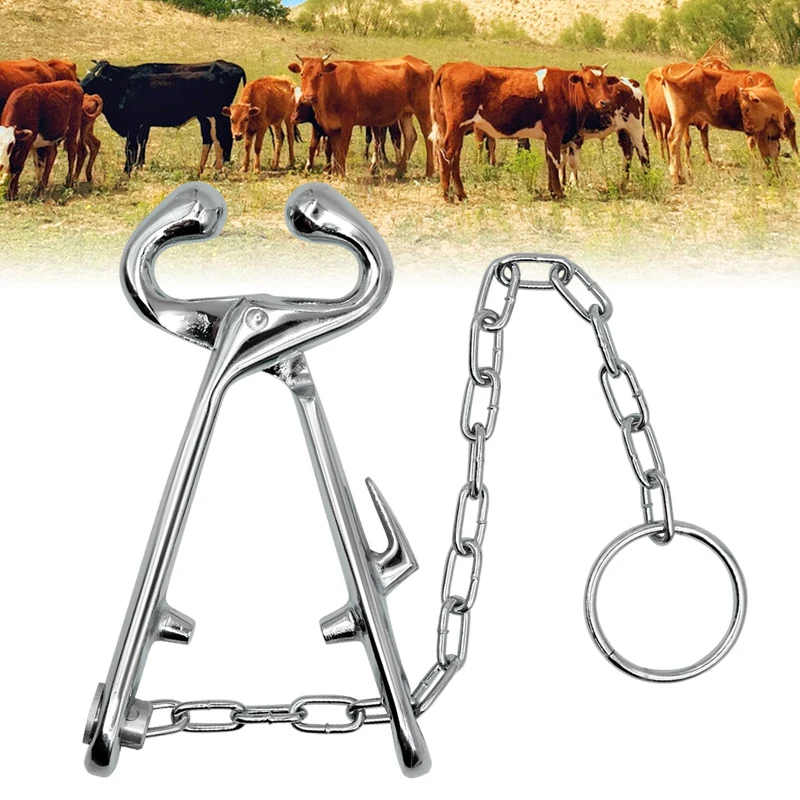 家畜農場 牛 雄牛 鼻輪 牛用鼻鉗子 雄牛固定具 チェーン付き| Alibaba.com