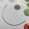 Plata