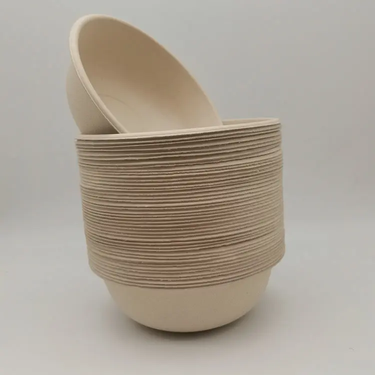 bagasse bowl (43).jpg
