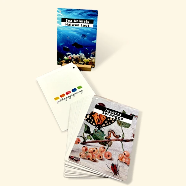 High Quality Custom Making English Animal and Plant Pattern Flash Card Wholesale Custom Print Logo Kids Educational Flashcards