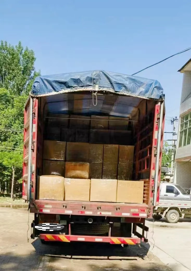 Cpc 2023 Hot Sale Wholesale Long Cat Plush Body Pillow Kitten Plush