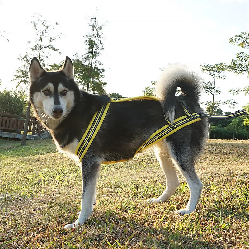 LEPRESSA M RETE Piccola Imbracatura Per Cane Imbracatura Per Auto Per - Foto 12