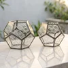 Plata