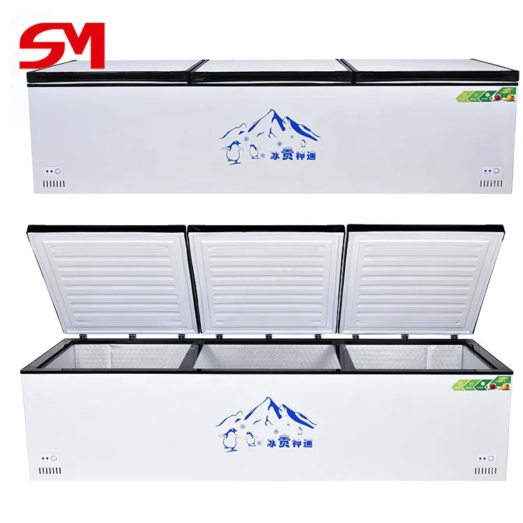 Automatic Modern and Advanced Shops Meat Storage Refrigerator Freezer