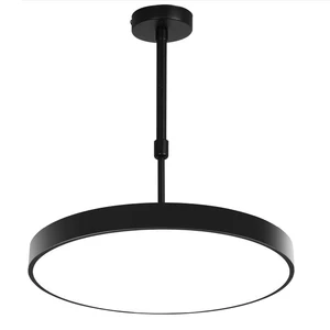 Nordic Modern Simple Living Room Pendant Light House Office Hallway Semi Flush Mount LED Round Ceiling Chandelier Light Fixtures