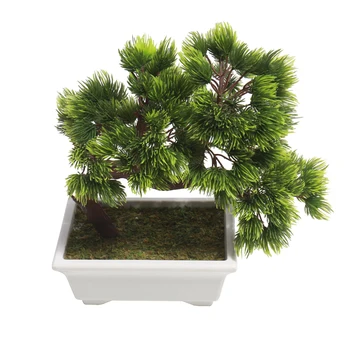 high quality low cost podocarpus bonsai tree for table decoration natural mini plant for outdoor indoor hotel artificial bonsai
