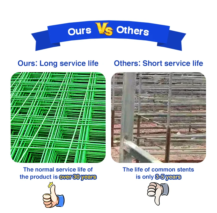 Oyster Mushroom Cultivation Equipment Shiitake Mushroom Growing Shelves