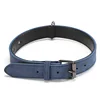 Collar - Blue