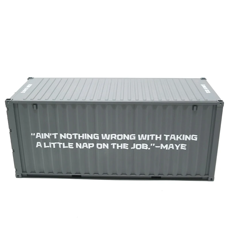 Customizable 1:20 Scale Shipping Container Ship Model Science & Engineering Toy for Teaching Logistics Present by Ocean