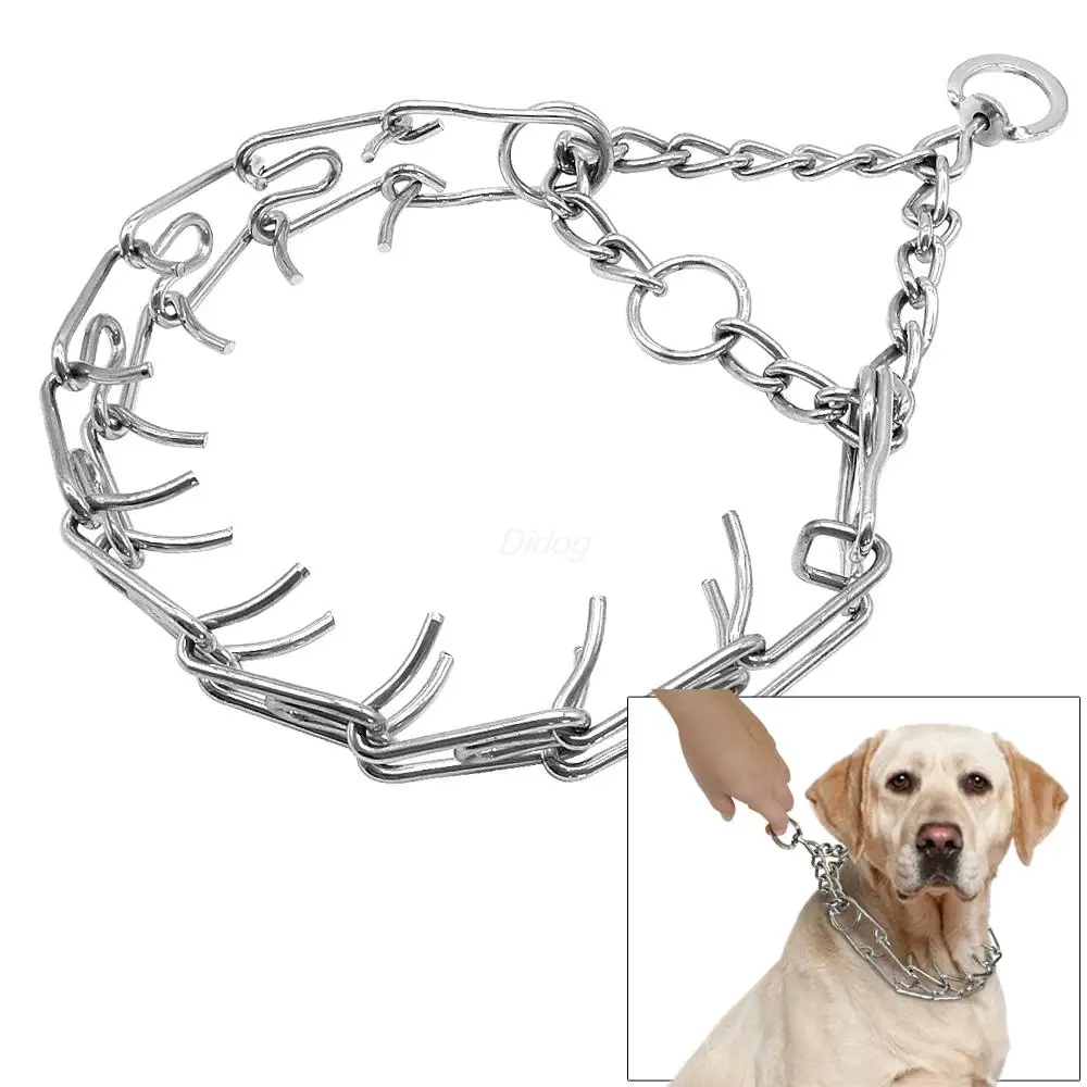 what is a prong collar for a dog