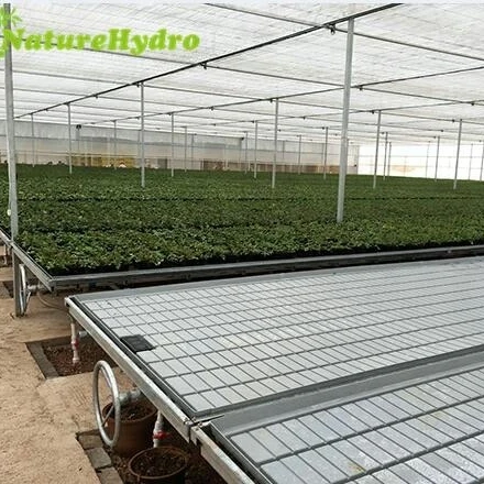 Agriculture Hydroponic Removable Seedbed Growing Tables for Commercial Plants
