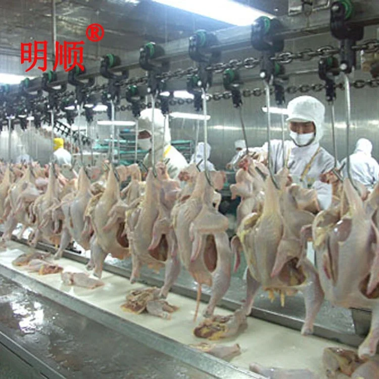 Automatic Broiler Chicken  Duck  Slaughter Processing Line Poultry Killing Equipment in South Africa