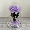 Fond argenté violet clair sans lampe avec boîte cadeau