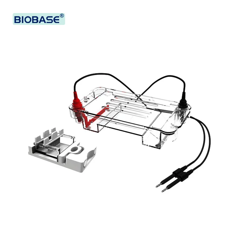 Biobase Horizontal Electrophoresis Tank Bkhet01 With Buffer Volume Of